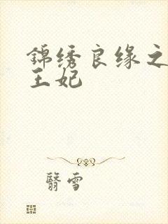 锦绣良缘之北地王妃