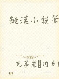 糙汉小说笔趣阁