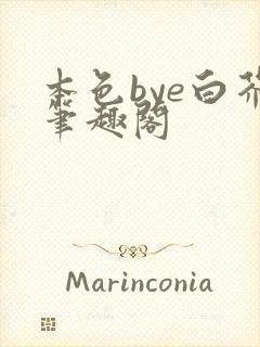 本色bye白芥笔趣阁