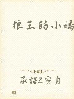 狼王的小娇妻