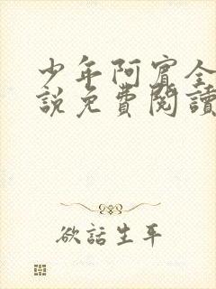 少年阿宾全文小说免费阅读笔趣阁