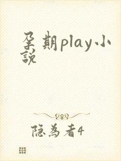 孕期play小说