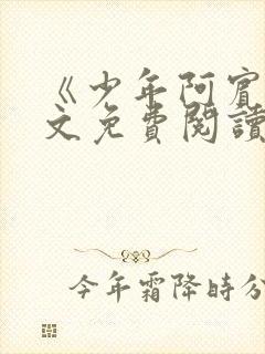 《少年阿宾》全文免费阅读