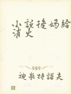 小说后妈给我消消火