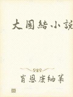 大团结小说全文