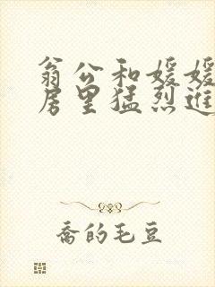 翁公和媛媛在厨房里猛烈进出