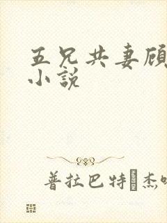 五兄共妻顾心儿小说