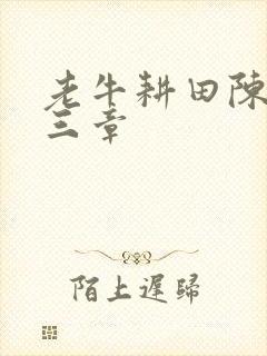 老牛耕田陈雪第三章