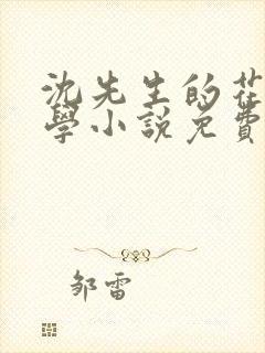 沈先生的花式教学小说免费