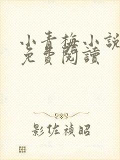 小青梅小说全文免费阅读