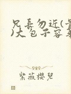 兄长勿近(骨科)大包子容华