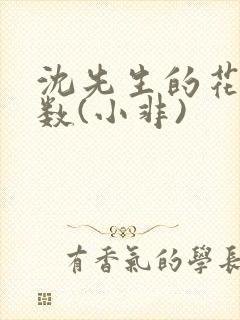 沈先生的花式调数(小非)