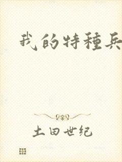 我的特种兵男友