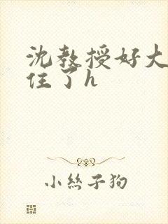 沈教授好大含不住了h