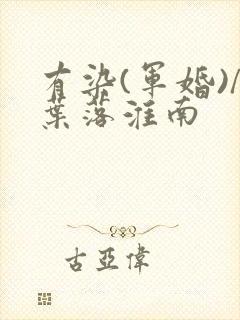 有染(军婚)/叶落淮南