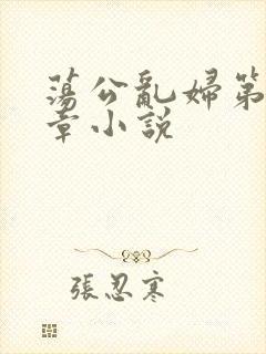 荡公乱妇第51章小说