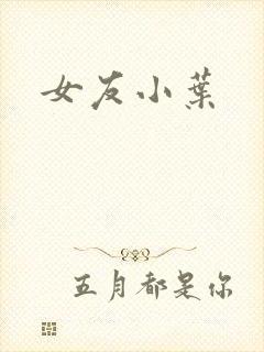 女友小叶