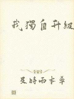 我独自升级小说