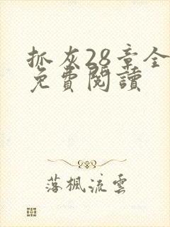 抓灰28章全部免费阅读