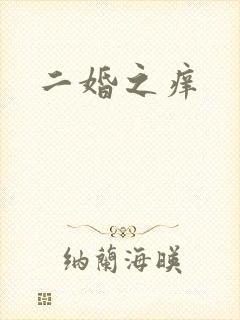 二婚之痒