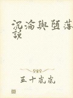 沉沦与堕落的小说