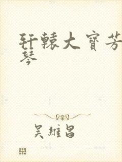 轩辕大宝芳菲雅琴