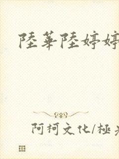 陆华陆婷婷封面