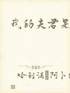 我的夫君是冥王