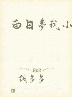 白日梦我小说