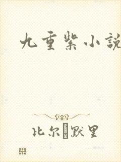 九重紫小说