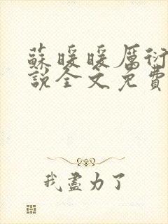 苏暖暖厉衍琛小说全文免费阅读