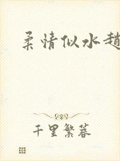 柔情似水赵雅儿