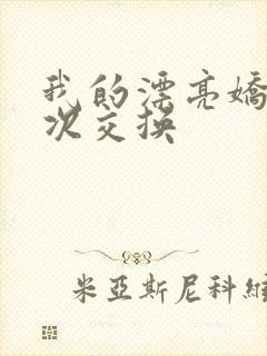 我的漂亮娇妻初次交换