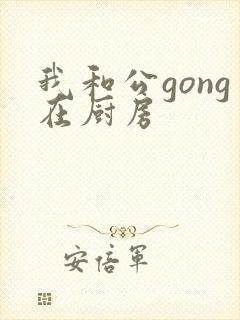 我和公gong在厨房