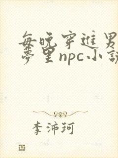 每晚穿进男神的梦里npc小说
