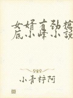 女婿有劲枪枪到底小峰小说