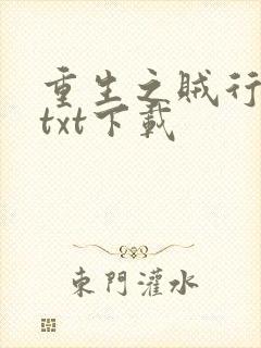 重生之贼行天下txt下载