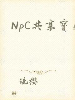 NpC共享宝贝