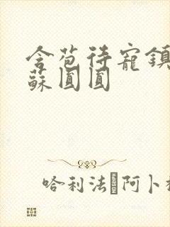 含苞待宠镇国公苏圆圆