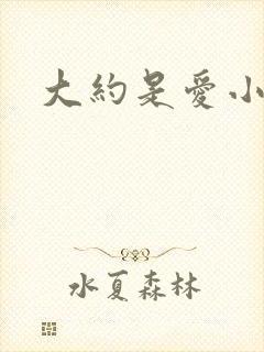 大约是爱小说