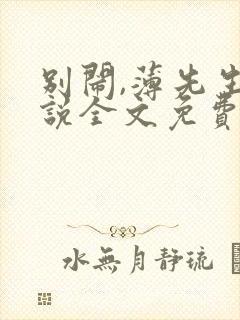 别闹,薄先生小说全文免费阅读