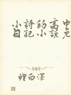 小诗的高中成长日记小说免费阅读