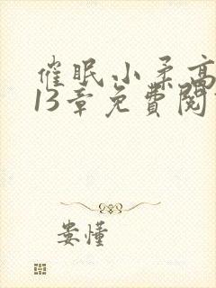 催眠小柔高达第13章免费阅读