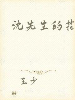 沈先生的花式调