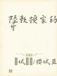 陆教授家的小月牙