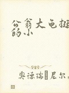 公翁大龟挺进我的小