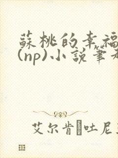 苏桃的幸福生活(np)小说笔趣阁沐沐