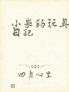 小米的玩具羞辱日记