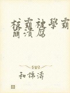 《校霸被学霸玩到崩溃腐》小说封面