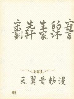 宋先生的宠妻计划轩家沐言